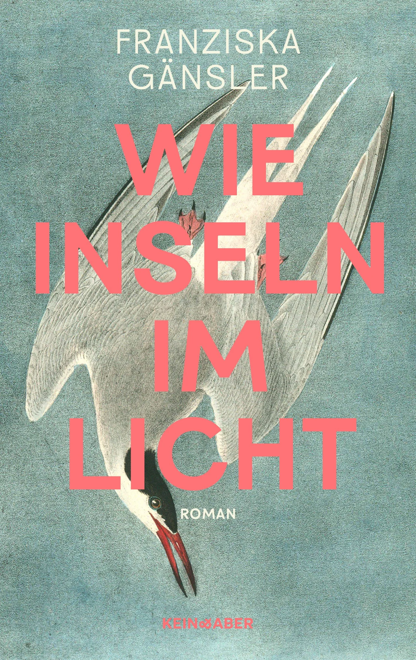 Als ihre kleine Schwester verschwindet, ist Zoey selbst noch ein Kind. Jetzt, zwanzig Jahre später, sind ihre Erinnerungen daran bruchstückhaft und widersprüchlich. Warum wurde nie nach der Schwester gesucht? Nach dem Tod der Mutter reist Zoey an die französische Atlantikküste, wo sie zu dritt gelebt haben, bevor diese eine Nacht alles veränderte. Zoey ahnt: Sie muss ihre Erinnerungen neu sortieren, die wie Inseln im Licht aus dem Meer ragen und die tief unter der Oberfläche miteinander verbunden sind.