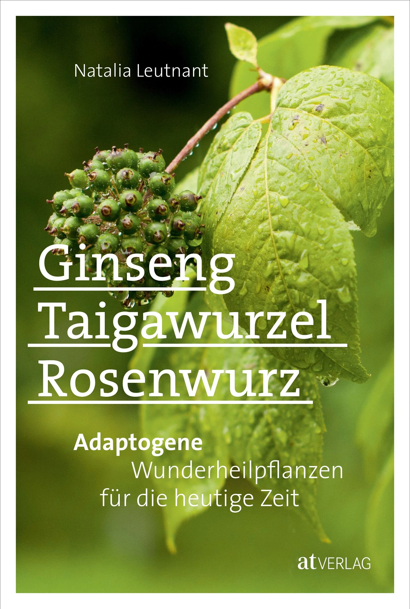 In Russland, Zentral- und Ostasien seit langem bekannt, werden die sogenannten Adaptogene bei uns gerade erst entdeckt und sorgen für grosse Aufmerksamkeit. Adaptogene sind unspezifisch in ihrer pharmakologischen Wirkung. Sie erzeugen jedoch eine Erhöhung der körperlichen Widerstandkraft gegen negative chemische, biologische, physische und psychische Belastungen. Sie führen den Körper zurück in eine Balance, helfen bei Stress, Burnout und Depressionen und haben wertvolle Anti-Aging-Effekte. Neben Ginseng, der bekanntesten und am besten erforschten Adaptogenpflanze, werden in diesem Buch weitere bei uns weniger bekannte Adaptogene wie Taigawurzel, Schisandra oder Rosenwurz und nahezu unbekannte Vertreter wie Hirschwurzel, Araliabaum oder Igelkraftwurz beschrieben. Mit zahlreichen Rezepten für Tees, Aufgüsse, Tinkturen, Elixiere, Pulver und ausführlichen Tipps für den erfolgreichen Anbau im eigenen Garten.