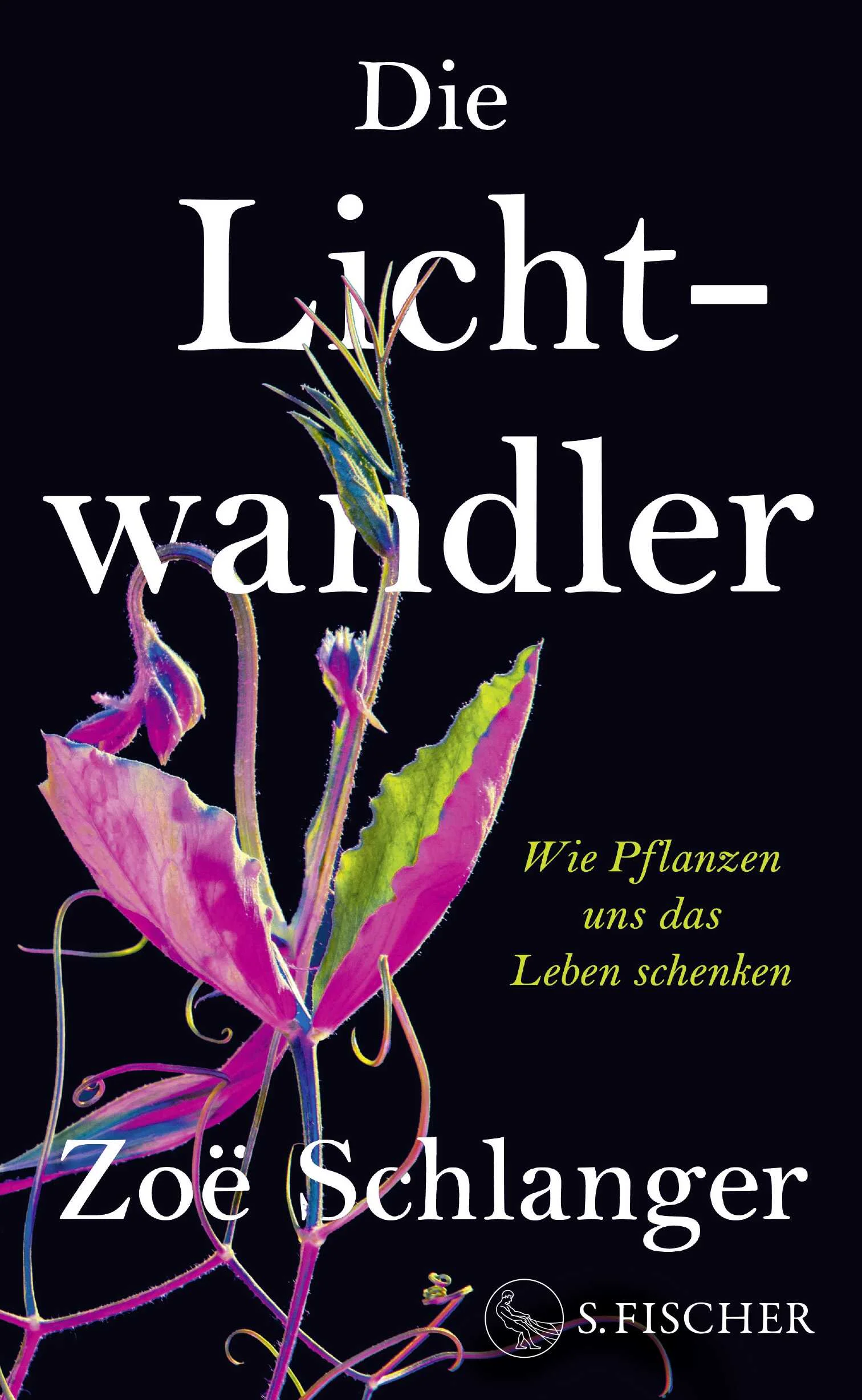 »Ein Meisterwerk der Wissenschaftsliteratur« Robin Wall Kimmerer, Autorin von Geflochtenes SüßgrasDie preisgekrönte Wissenschaftsjournalistin Zoë Schlanger erzählt in ihrer poetisch-philosophischen Erkundung, was wir von den geheimnisvollen Fähigkeiten der Pflanzen lernen können.Wurzeln machen erfinderisch: Pflanzen überqueren Ozeane, verwandeln Licht in Leben und nehmen wahr, was uns verborgen bleibt. Sie führen ganz eigene, komplexe Sozialleben, können uns aber auch dabei helfen, die scheinbar unvermeidliche Klimakatastrophe aufzuhalten. Dass unser Planet überhaupt bewohnbar ist, verdanken wir diesen Geschöpfen, die uns zugleich vollkommen vertraut und faszinierend fremd sind.Voll staunender Neugier spürt Zoë Schlanger den Geheimnissen der Pflanzenwelt und der Verbundenheit alles Lebendigen nach. Sie erzählt von der Anpassungsfähigkeit und den ausgeklügelten Überlebenstechniken der Pflanzen, denen es gelingt, die denkbar ungeeignetsten Orte zu ihrem Lebensraum zu machen, und berichtet von revolutionären Entdeckungen in der Botanik, die alles in Frage stellen, was wir bisher über Pflanzen zu wissen glaubten. Dabei taucht sie tief in die faszinierende Welt dieser Wissenschaft ein und verwebt ihre Erkenntnisse mit philosophischen Überlegungen über die großen Zusammenhänge des Lebens.Denn die leidenschaftlich geführten Debatten um das mögliche Bewusstsein der Pflanzen, ihre Fähigkeit zu kommunizieren und sich sozial zu verhalten, sind Fragen nach dem Wesen der Realität selbst: Mit dem Verständnis der Pflanzen entschlüsseln wir das Wunder des Lebens.»Brilliant - Pflichtlektüre über die Wunder der grünen Welt. Dieses Buch hat mich erschüttert und verändert.« David G. Haskell, Autor von Das verborgene Leben des Waldes»Dieses Buch hat meinen Blick auf Pflanzen – und die Natur selbst – vollkommen verändert. [...] faszinierend, welterweiternd und schmerzlich schön.« Ed Yong, Autor von Die erstaunlichen Sinne der Tiere»Bereichernd, lebendig und voller Überraschungen. Lesen Sie dieses Buch! Sie werden die Welt auf ganz neue Weise betrachten.« Elizabeth Kolbert, Autorin von Das sechste Sterben