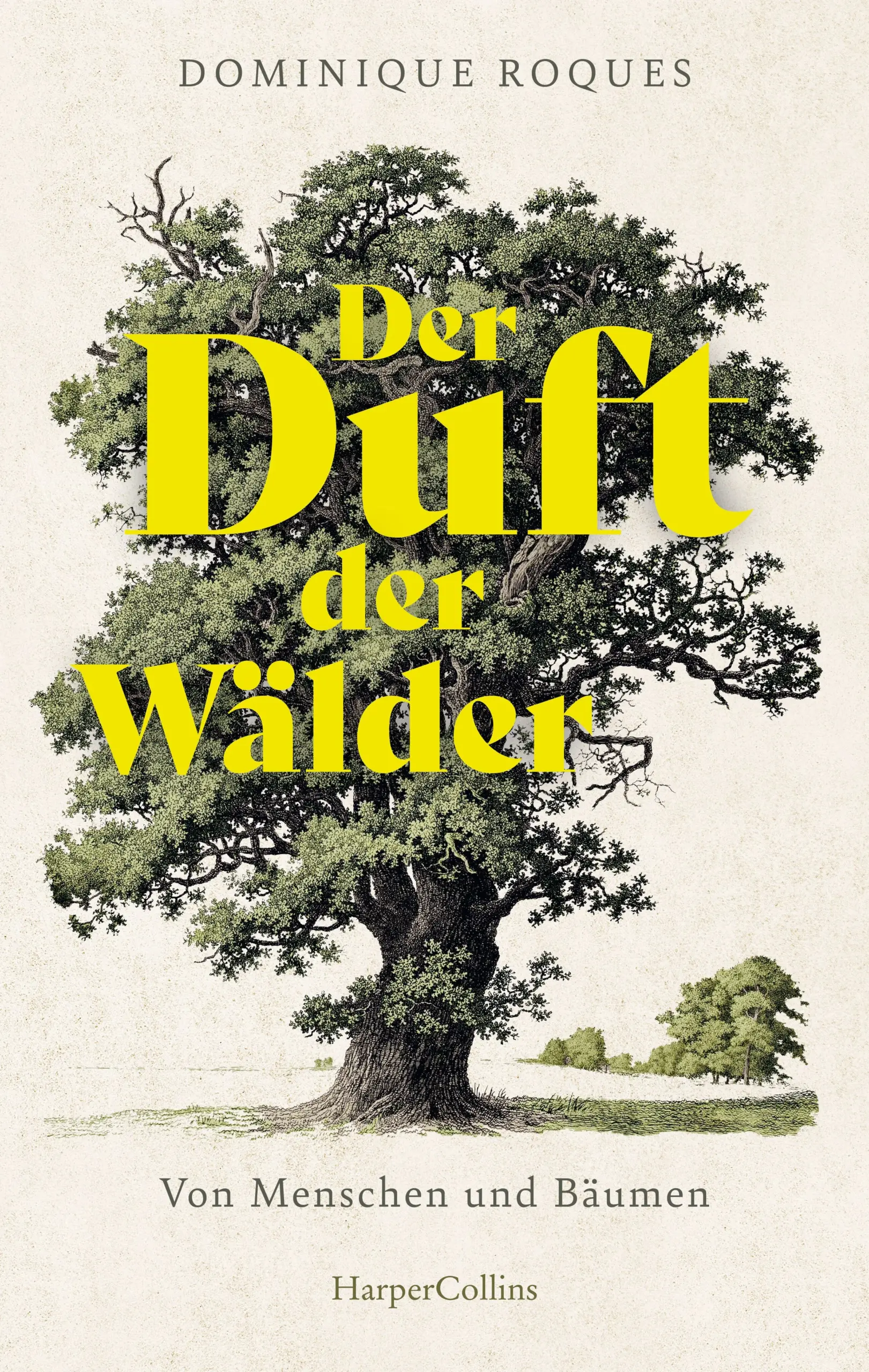 Eine Liebeserklärung an die Wälder der Welt Harze, Humus, Zedernzapfen. Für Dominique Roques, der als Kind eines Holzfällers mit Bäumen aufgewachsen ist, riecht jeder Wald ein wenig anders. Sein Vater hat die Kettensäge als Importeur nach Frankreich gebracht, und so war der Duft, dem Dominique zuerst begegnete, der Geruch frischen Sägemehls. Der Duft der Wälder ist für ihn das Sinnbild ihrer Natürlichkeit, zugleich aber auch ihrer Eroberung durch den Menschen.Sein Buch nimmt uns mit auf eine Reise zu den außergewöhnlichsten Wäldern der Welt, um der uralten und widersprüchlichen Beziehung zwischen Mensch und Baum näherzukommen: Die mythischen Zedern im Libanon, die zur Errichtung des Tempels Salomons dienten über Ölpalmen auf Borneo bis zu bulgarischen Buchwäldern. Staunend verwebt er Legenden, alte Traditionen und Kuriositäten mit eigenen Erfahrungen. Er berichtet von vergessenen Berufen des Köhlers und Harzsammlers, die sich um den Wald verdient gemacht haben, und erinnert uns an die große Bedeutung des Waldes als letztes Refugium vor dem Lärm und dem Wüten der Menschen. »Ein Kompendium der Düfte der Wälder, eine Geschichte der Bäume anhand von Menschenporträts und den Geschichten ihrer Ursprünge, mögen sie auch noch so kurz sein.«Liberation