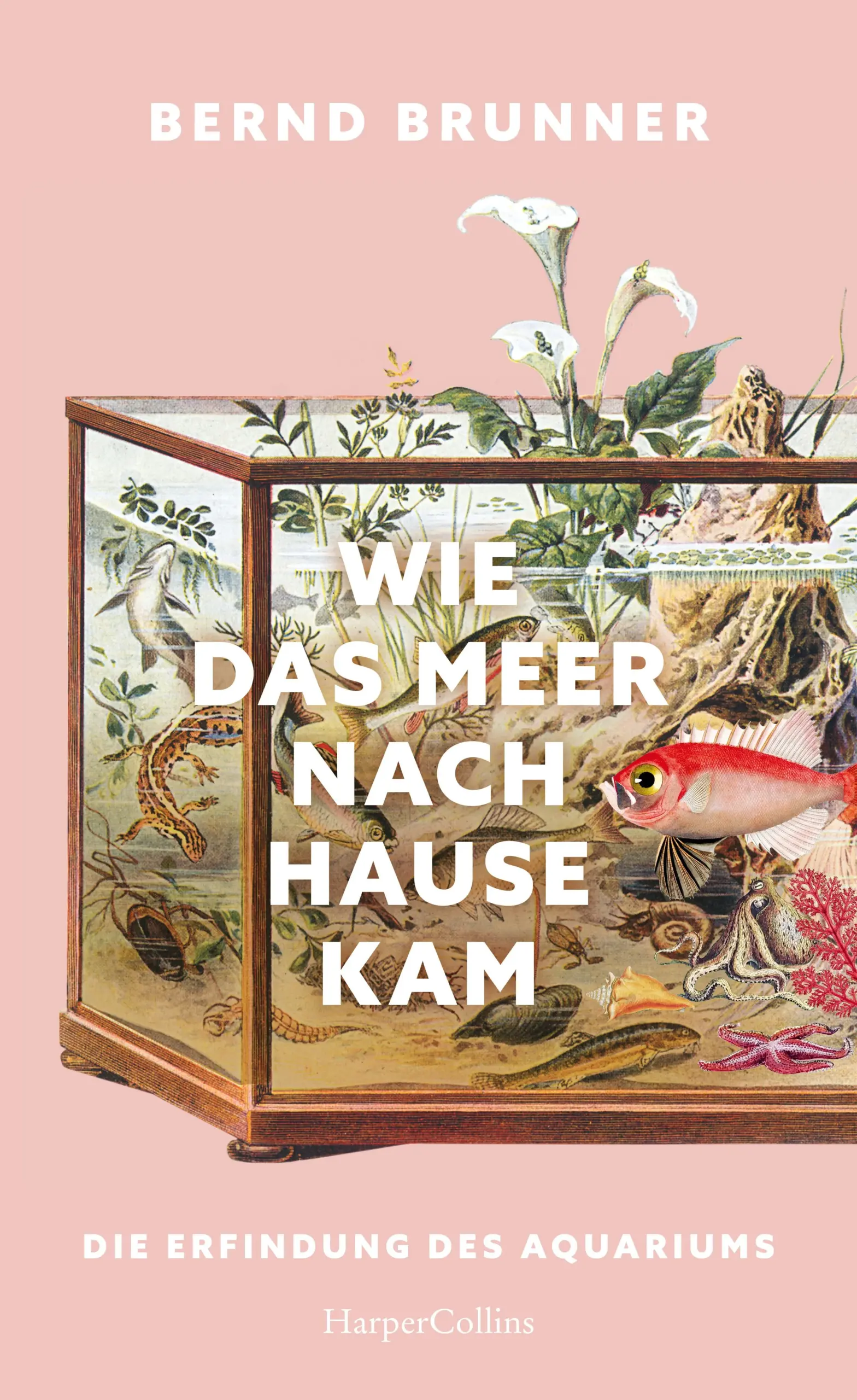 Glaskästen voller Träume – Warum uns Aquarien faszinierenWie entsteht die verrückte Idee, die Welt des Meeres ins Wohnzimmer zu holen?Die Lust am Meer ist noch gar nicht so alt, sie bildete sich erst im 18. Jahrhundert heraus, als Küsten zu beliebten Ausflugszielen wurden und Muscheln, Seesterne und Algen die Sammelleidenschaft eines wissbegierigen Bürgertums entfachten.Von hier aus beginnt Bernd Brunner seine historische Suche, die uns zu Tiefseepionieren, den ersten Aquaristen-Vereinen, abenteuerlichen Apparaturen, maritimen Bestsellern und in bürgerliche Wohnstuben führt, in denen die Ozeane en miniature zum Hype des 19. Jahrhunderts werden: Ein Surrogat der Natur inmitten der Stadt. Der Import von exotischen Fischen wird zum lukrativen Geschäft.Aquarien faszinieren uns bis heute. Immer mehr (jüngere) Menschen entdecken sie als Freizeitbeschäftigung wieder. Mit seiner sorgfältig recherchierten Geschichte zeigt Bernd Brunner, warum wir sie so lieben – und warum unsere Sehnsüchte denen des 19. Jahrhunderts so ähneln.»Nach zwei Stunden taucht der Leser vergnügt wieder auf, den Kopf randvoll mit Geschichten und Bildern.«Süddeutsche Zeitung