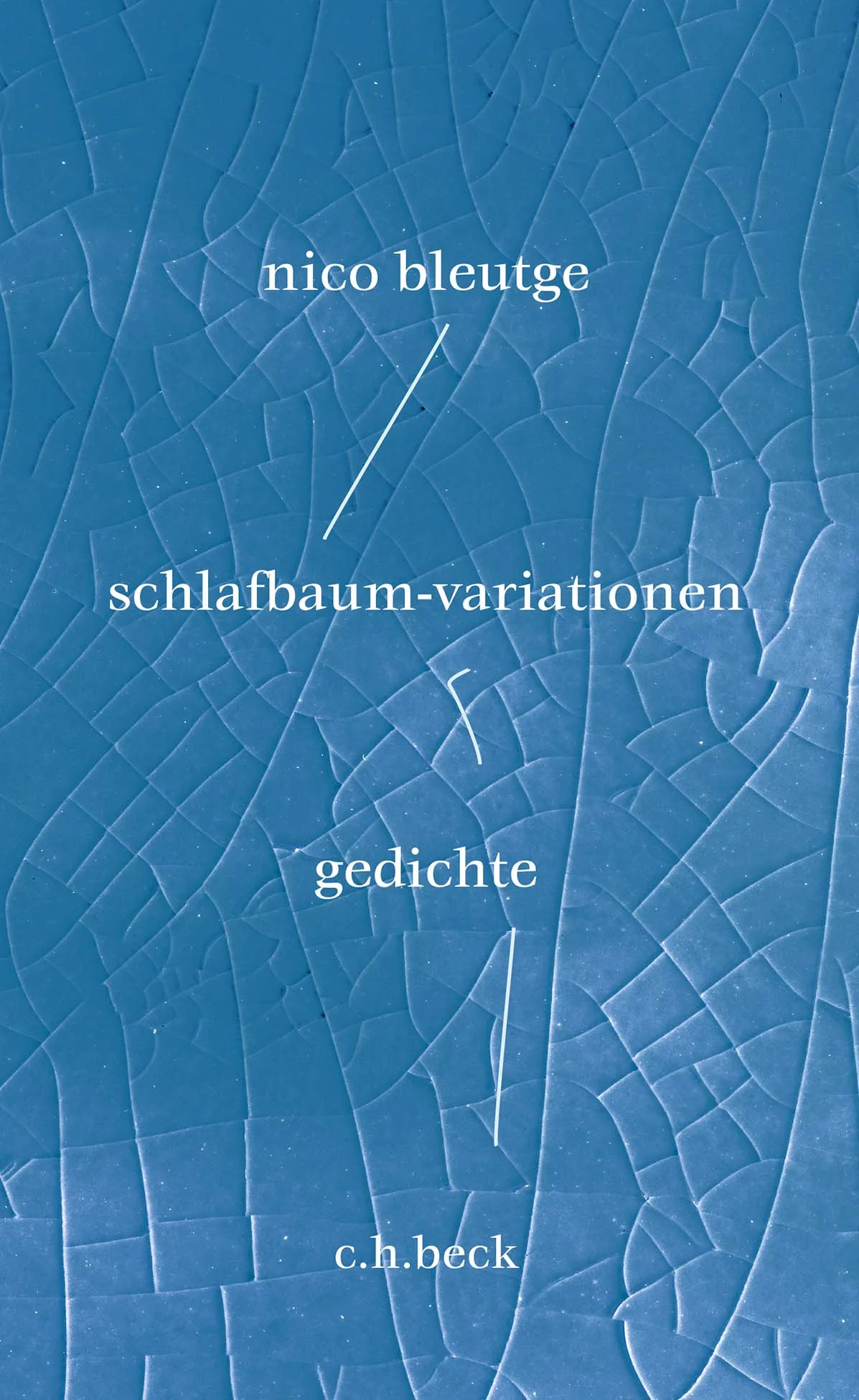 NEUE GEDICHTE VON NICO BLEUTGE Anfangen, wieder. Ein Kind wird geboren. Richtet die Wahrnehmung neu aus. Euphorie wechselt sich ab mit Erschöpfung. Zugleich ist da der Schmerz des Verlustes. Ein geliebter Mensch ist kurz zuvor gestorben. Der Schock hallt nach, schneidet ein in den Körper und in die Laute. Wie lassen sich Gefühle und Gedanken ineinander übersetzen? Wie hängen Wörter und Ich zusammen? Erfüllende Momente und Leid? Nico Bleutge holt diese Fragen in das Sprechen und gewinnt aus ihnen seinen ganz eigenen Rhythmus. Darin reflektiert er die elementaren Widersprüche und Veränderungen unserer Gegenwart, wie sie der flimmernde Titelzyklus spürbar macht. Wir folgen Falken und Staren an den Tiber, sehen Risse in den Bildern, die den Rissen in der Landschaft ähneln. Und die Erinnerung speist scheinbar Nebensächliches ein. Verse über das Beginnen, über Sprache vor der Sprache und über das Verhältnis von Erinnerung und Präsenz. Die Zeit dehnt sich oder schießt im Spiel der Laute zusammen: «dies nagen, ineinanderdrehen / von wolken, beginn: nicht eine / silbe zum stehen, stauchen / alles drin». Mit großem sprachlichen Gespür geht Nico Bleutge den Lücken in der Wahrnehmung nach und zeigt uns die Kraft der Wörter, klangstark, lustvoll, ebenso konkret wie imaginär. Neue Gedichte von Nico Bleutge über Glück und Verlust Verse über das Anfangen, über Erinnerung und Präsenz