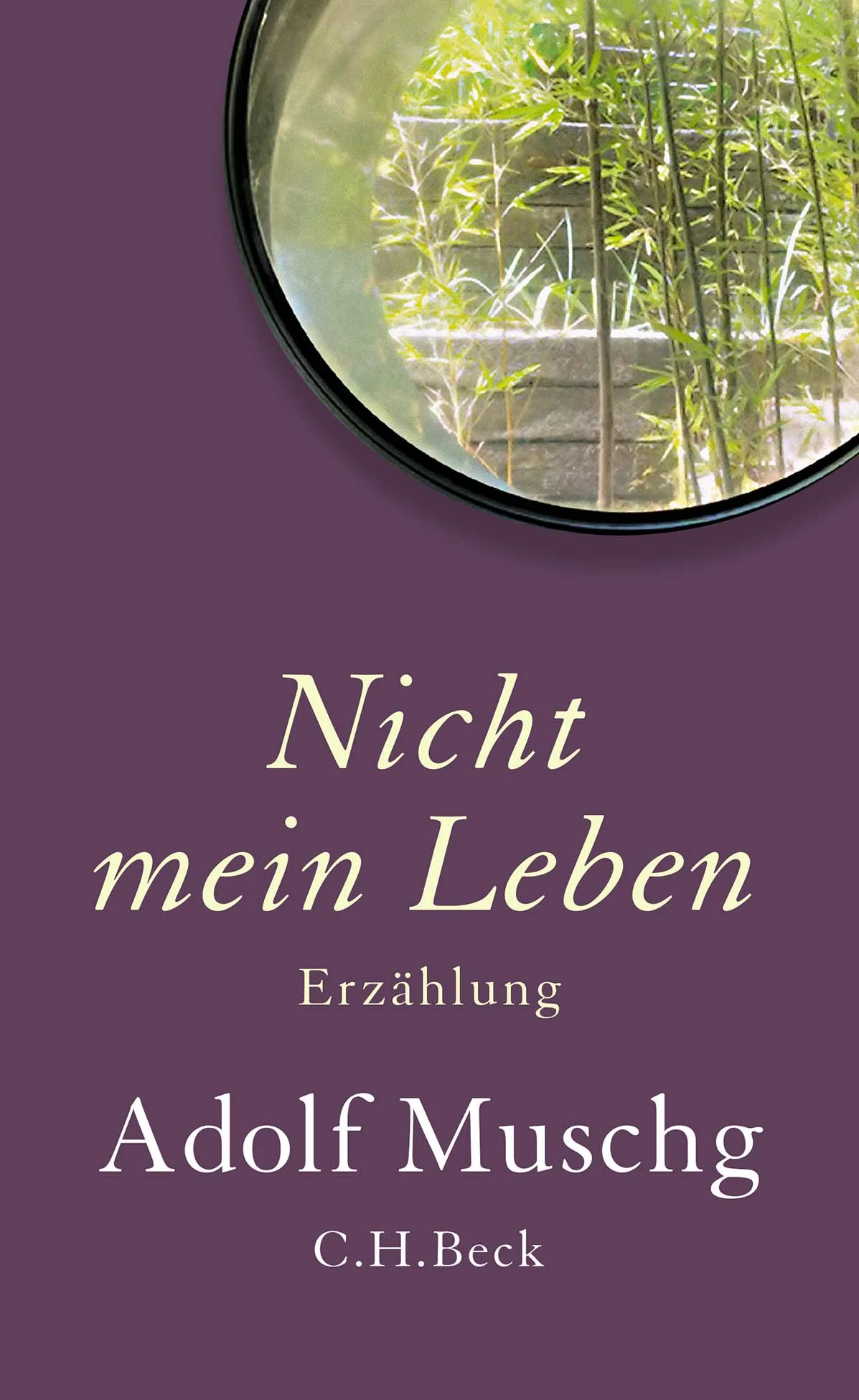 Adolf Muschgs persönlichstes Buch Voller Trauer und Schönheit 