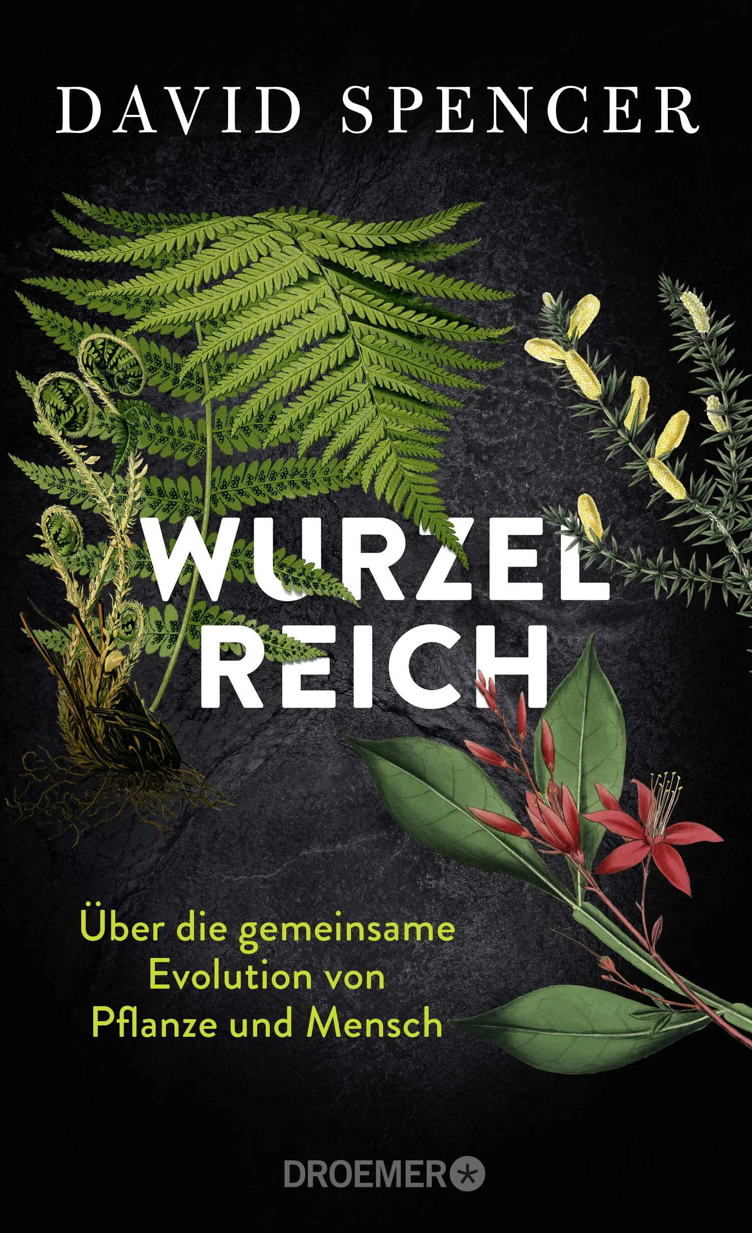 Die Evolutionsgeschichte der Pflanze, und was sie mit uns Menschen zu tun hatMensch und Pflanze – zwei vermeintlich konkurrierende Mega-Lebewesen. Dabei blickt die Pflanze auf eine bewegte Geschichte zurück, die der menschlichen gar nicht so unähnlich ist. Der bekannte Wissenschaftskommunikator und Biologe Dr. David Spencer macht sich in seinem neuen Sachbuch auf unterhaltsame Art daran, die Entwicklung der Pflanzen über Jahrmillionen hinweg nachzuerzählen: angefangen bei ihrem nomadischen Dasein in den Weltmeeren, dem eine Zeit folgte, in der sich die ersten Pflanzen aus den Ozeanen der noch jungen Erde erhoben, um das Land zu besiedeln und sesshaft zu werden. Wir erfahren, welche Herausforderungen dieses Leben in vermeintlicher Bewegungslosigkeit mit sich brachte, den Launen der Witterung schutzlos ausgeliefert, und wie die Pflanze durch Aufgabenteilung und kollektives Arbeiten ganze Landschaften formt. Und wir erkunden, wie sie sich bis in die entlegensten Winkel unseres Planeten ausbreiten konnte, schließlich vom Menschen gezähmt wurde – und dennoch immer widerspenstig blieb.  Diese faszinierende Reise führt zunächst zu den Anfängen zurück und endet in der Gegenwart. Wir wandeln auf den Spuren der pflanzlichen Erfolgsgeschichte und entdecken zugleich die wunderbare Welt der heutigen Pflanzen.Wie kommunizieren Pflanzen eigentlich miteinander?Warum bekämpfen sie sich manchmal?Wann führt die Ausbreitung einer bestimmten Art zum Aussterben einer anderen Population?Wussten Sie, dass es Pflanzen gibt, die mehrere tausend Jahre alt werden? Oder ihre Konkurrenten gezielt durch Waldbrände ausmerzen?David Spencer macht nicht zuletzt klar, welches Potenzial wir verschenken, wenn wir die Intelligenz der Pflanze nicht anerkennen und unser Ökosystem weiter ausbeuten, anstatt es partnerschaftlich und respektvoll gemeinsam zu gestalten.