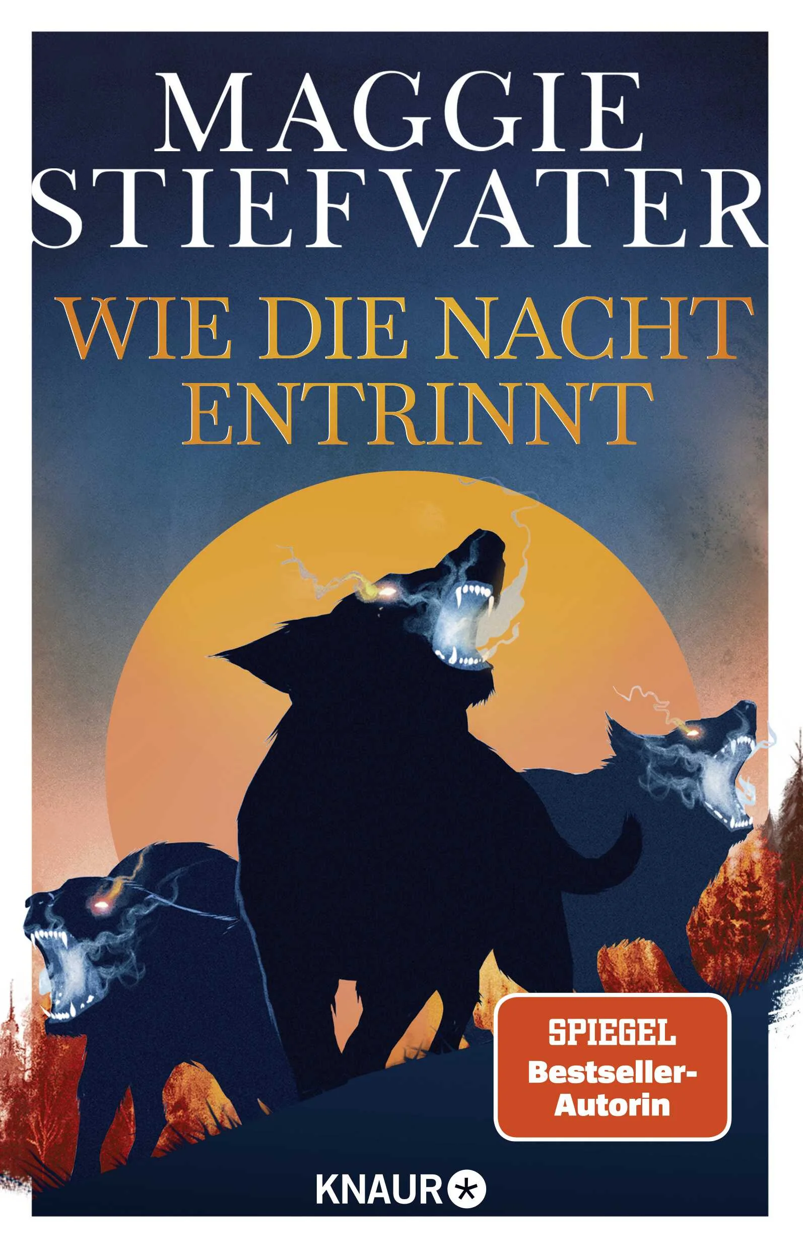 Im Krieg zwischen Traum und Wirklichkeit steht jedes Schicksal auf dem Spiel:In »Wie die Nacht entrinnt«, dem 3. Urban-Fantasy-Roman von Maggie Stiefvaters Dreamer-Trilogie, stehen nicht nur die Brüder der Familie Lynch an ihrem ganz persönlichen Abgrund – in ihren Händen liegt auch das Schicksal aller Welten.Declan, der sich als Sohn und als Bruder stets für alles verantwortlich gefühlt hat, muss nun feststellen, dass er seine Familie nicht schützen kann.Ronan hat als Träumer an der Grenze zwischen Traum und Wachen gelebt – doch diese Grenze existiert nicht mehr, und Ronan fällt.Und Matthew, der immer der Sonnenschein der Familie war, rebelliert gegen alles, denn nichts scheint mehr real zu sein.Unsere Welt ist nicht für die Familie Lynch, die Welten erschaffen und zerstören kann, gemacht. Und wenn es den Brüdern nicht gelingt, einander zu retten, sind wir alle dem Untergang geweiht …Die Dreamer-Trilogie ist ein Spin-off des Fantasy-Bestsellers »Raven Boys«, kann aber auch unabhängig gelesen werden.Maggie Stiefvaters geheimnisvoll-abenteuerliche Urban-Fantasy-Reihe um Träume, Sehnsüchte, Schicksal und Tod umfasst die folgenden Romane:»Wie der Falke fliegt«»Wie Träume bluten«»Wie die Nacht entrinnt«