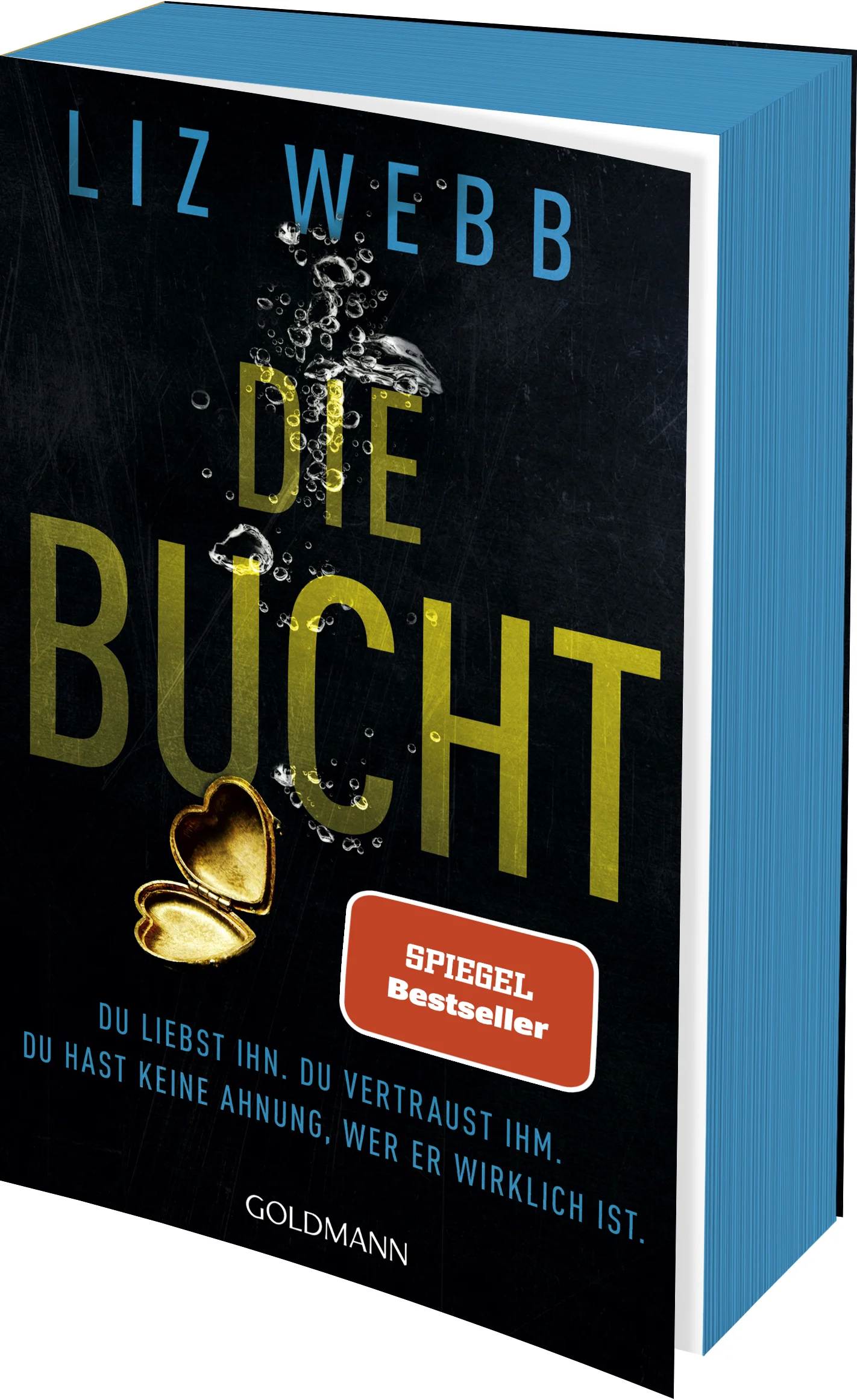 Du liebst ihn. Du vertraust ihm. Du hast keine Ahnung, wer er wirklich ist.In der Hoffnung auf einen Neuanfang zieht Nancy mit ihrem Mann Calder auf eine kleine Insel vor der Westküste Schottlands. Es fällt ihr jedoch schwer, sich in der kargen Landschaft mit den verschlossenen Bewohnern einzuleben. Und dann wird auch noch ihr größter Alptraum wahr: Sie findet Calders umgestürztes Boot in einer Bucht, sein Körper treibt regungslos im eiskalten Wasser. Dass er überlebt, gleicht einem Wunder. Doch Calder ist nach diesem Vorfall nicht mehr derselbe. Nancy spürt, dass er etwas vor ihr verbirgt, und sein Verhalten macht ihr Angst. Und als eine Leiche an den Strand gespült wird, weiß Nancy: Ein Neubeginn kann die Vergangenheit niemals völlig auslöschen ...In hochwertiger Ausstattung mit farbigem Buchschnitt.