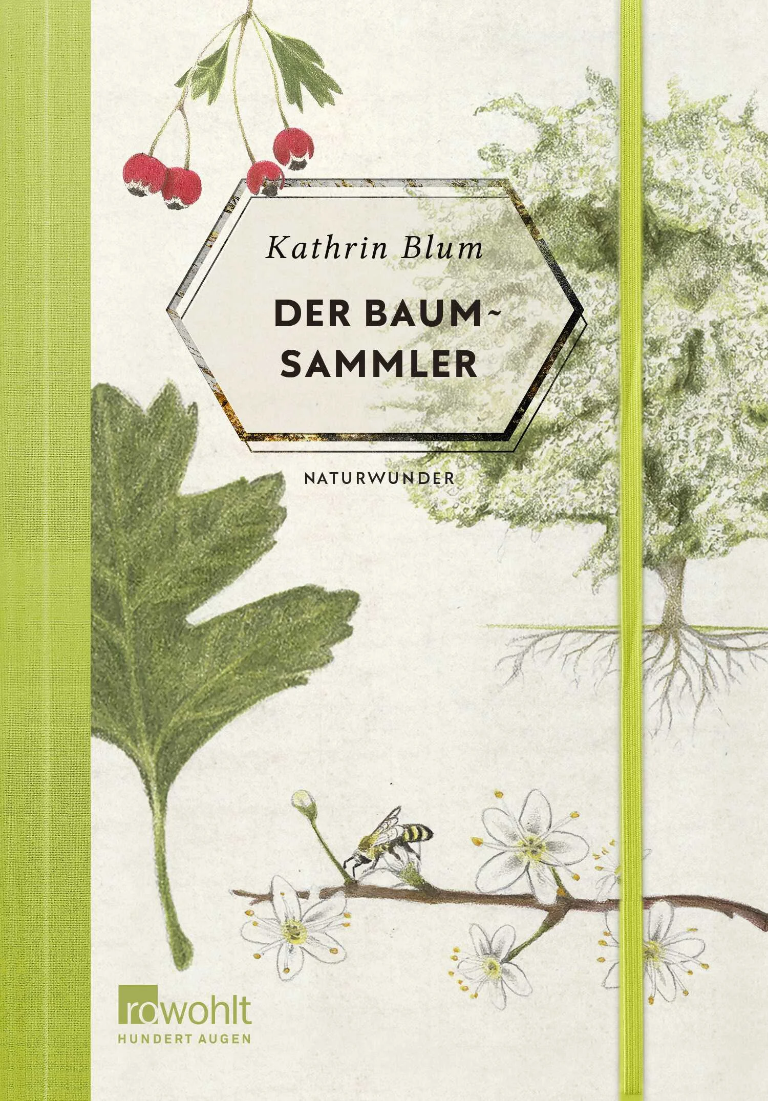 Alle Menschen lieben Bäume. Aber wie gut kennen wir sie? Dieses Buch stellt die 25 wichtigsten und schönsten aus unseren Breiten in unterhaltsamen Porträts und mit wunderschönen Illustrationen vor, vom Tulpenbaum im Garten über die Linde auf dem Marktplatz bis hin zu den Bäumen draußen im Wald. Wir erfahren Lehrreiches über Vorkommen, Kulturgeschichte, Sage und Aberglaube, Nutzung, Gefährdung; und zusätzlich gibt es Seiten für Notizen und mit Platz zum Einkleben von Blättern.
