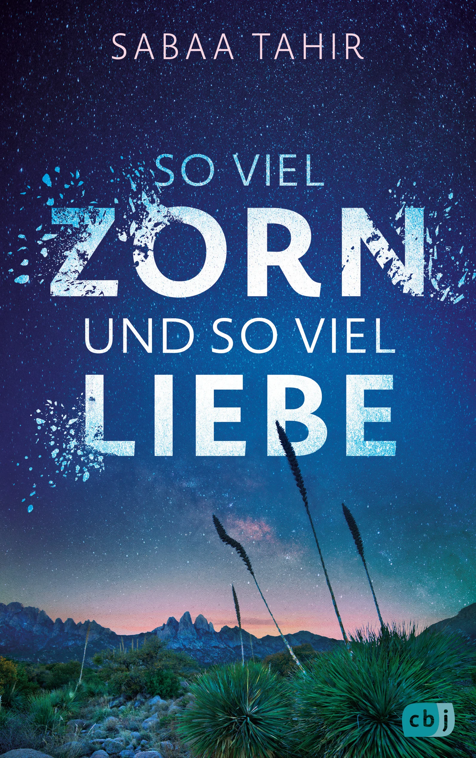 Ein atemberaubender Roman über junge Liebe, späte Reue und Vergebung +++ Ausgezeichnet mit dem Printz Award und dem National Book Award for Young People's LiteratureSalahudin und Noor sind mehr als beste Freunde: Beide sind pakistanische Migranten und gemeinsam in einem kleinen Ort in der Wüste Kaliforniens aufgewachsen. Sie verstehen einander wie sonst niemand. Doch ein Streit letzten Sommer hat alles zerstört.Nun kämpft Sal allein darum, das Motel der Familie am Laufen zu halten, während es seiner kranken Mutter Misbah immer schlechter geht und sein Vater den Kummer im Alkohol ertränkt. Noor dagegen arbeitet im Spirituosengeschäft ihres strengen Onkels und versucht gleichzeitig, sich heimlich für ein College zu bewerben, um dem Onkel und diesem Ort für immer Lebewohl sagen zu können.Als Sals Versuche, das Motel zu retten, außer Kontrolle geraten, müssen er und Noor sich fragen, was Freundschaft wert ist und was nötig ist, um die Monster der Vergangenheit zu besiegen – und die mitten unter ihnen.Sabaa Tahir wurde mit der Platz-1-New-York-Times-Bestsellerreihe »Elias und Laia« als Schöpferin epischer Fantasywelten bekannt. In ihrem großen neuen Roman zeigt Tahir, dass sie ebenso grandiose Geschichten in der realen Welt erschaffen kann, mit unvergesslichen Figuren und starken Bildern – tragisch und doch voller Hoffnung. Für »So viel Zorn und so viel Liebe«, ebenfalls New-York-Times-Bestseller, erhielt Sabaa Tahir den National Book Award 2022 und den Printz Award 2023.Ein packender All-Age-Roman für Fans von Angie Thomas, Amy Giles und Angeline Boulley.
