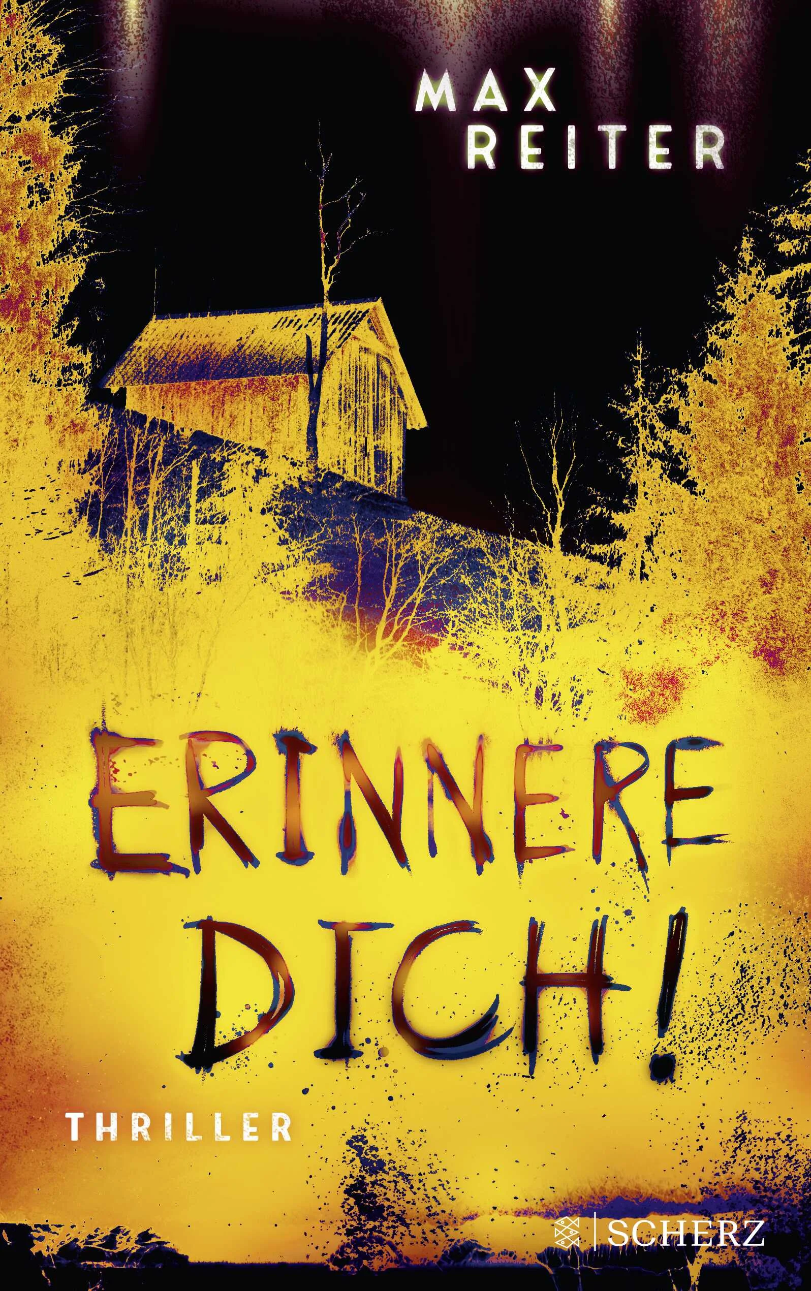 Was hast du mit ihr gemacht? Du bist für ihren Tod verantwortlich. ERINNERE DICH!20 Jahre ist es her, dass die Abiturientin Maja bei einer Wanderung spurlos verschwand. 20 Jahre, in denen ihr Freund Arno Seitz jede Erinnerung an das traumatische Ereignis verdrängt hat. Jetzt kommt beim Abiturtreffen vieles wieder hoch – Bilder, Gefühle, längst Vergessenes. Die Freunde von damals beschließen, den Wanderweg noch einmal gemeinsam zu gehen. Und jemand, der sich nicht zu erkennen gibt, zwingt Arno, sich endlich seinen Erinnerungen zu stellen. Er hat Maja als Letzter gesehen. Er weiß genau, wo sie an jenem Morgen waren. Er hat sie in die Höhle gelockt. Aber was ist dann passiert?»›Erinnere dich!‹ hat mich gepackt und bis zum Ende nicht mehr losgelassen. Verstörend und grandios!« Arno Strobel