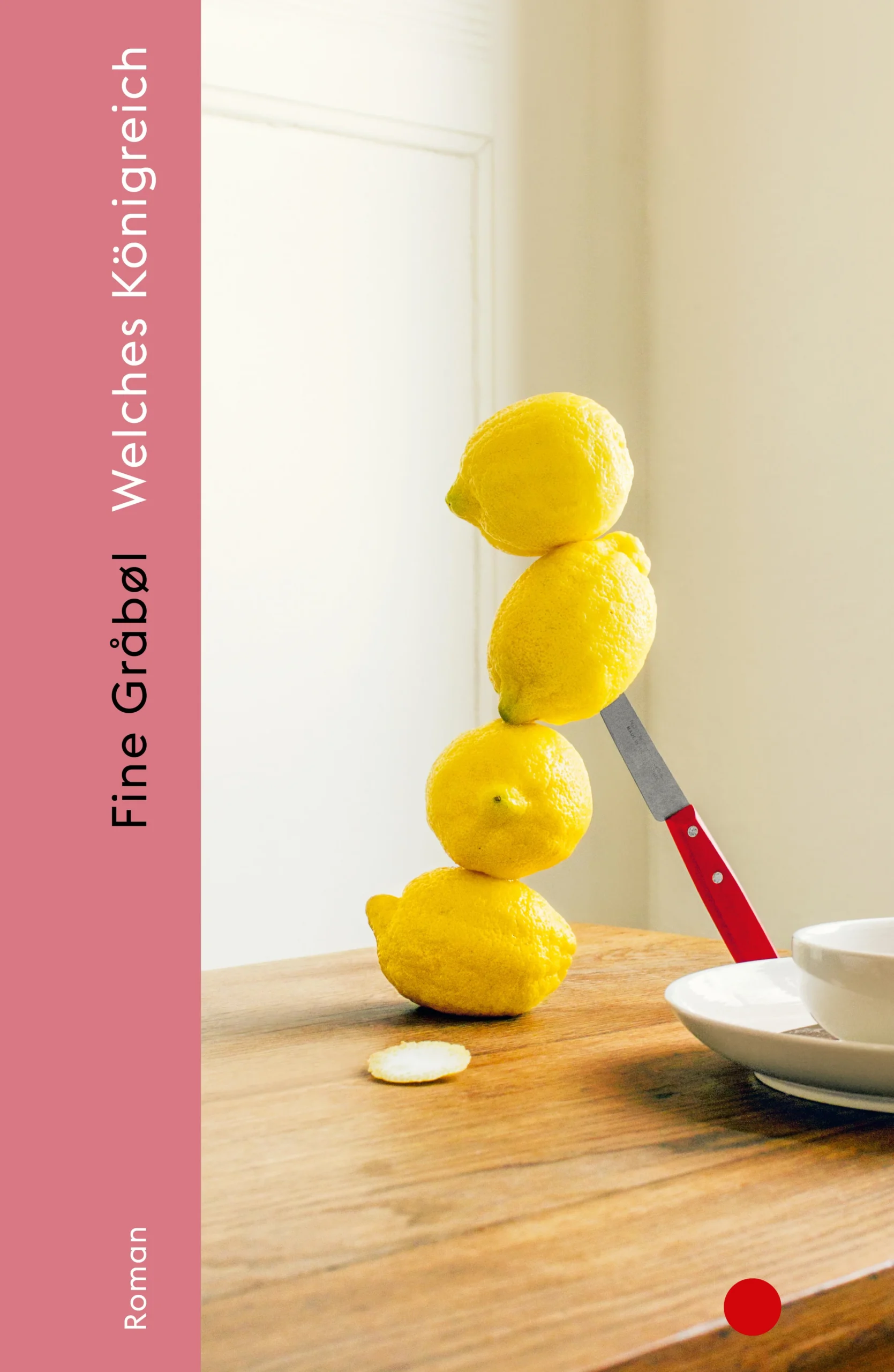 Kopenhagen, Hochsommer: Fünf Jugendliche und die namenlose Erzählerin leben nach längeren Aufenthalten in der Psychiatrie in einem betreuten Wohnheim, das ihnen den Weg zurück in den Alltag erleichtern soll. Die Abläufe sind einfach, aber nicht selbstverständlich: kochendes Wasser ist für Tee, nicht zur Selbstverletzung gedacht und ein offenes Fenster ist keine Einladung zum Sprung. Während des fliegenden Wechsels aus Diagnosen und Bezugspersonen formiert sich eine fragile, aber zutiefst berührende Wohngemeinschaft. Kann es eine hinreichende Sprache für die Erkrankungen der Psyche geben, und weiter, Fahrpläne für das Gewöhnliche?Fine Gråbøls Blick für die Widersprüche innerhalb des psychiatrischen Systems und die Versehrtheit der Menschen darin ist nuanciert und zeugt von feinstem literarischem Fingerspitzengefühl.