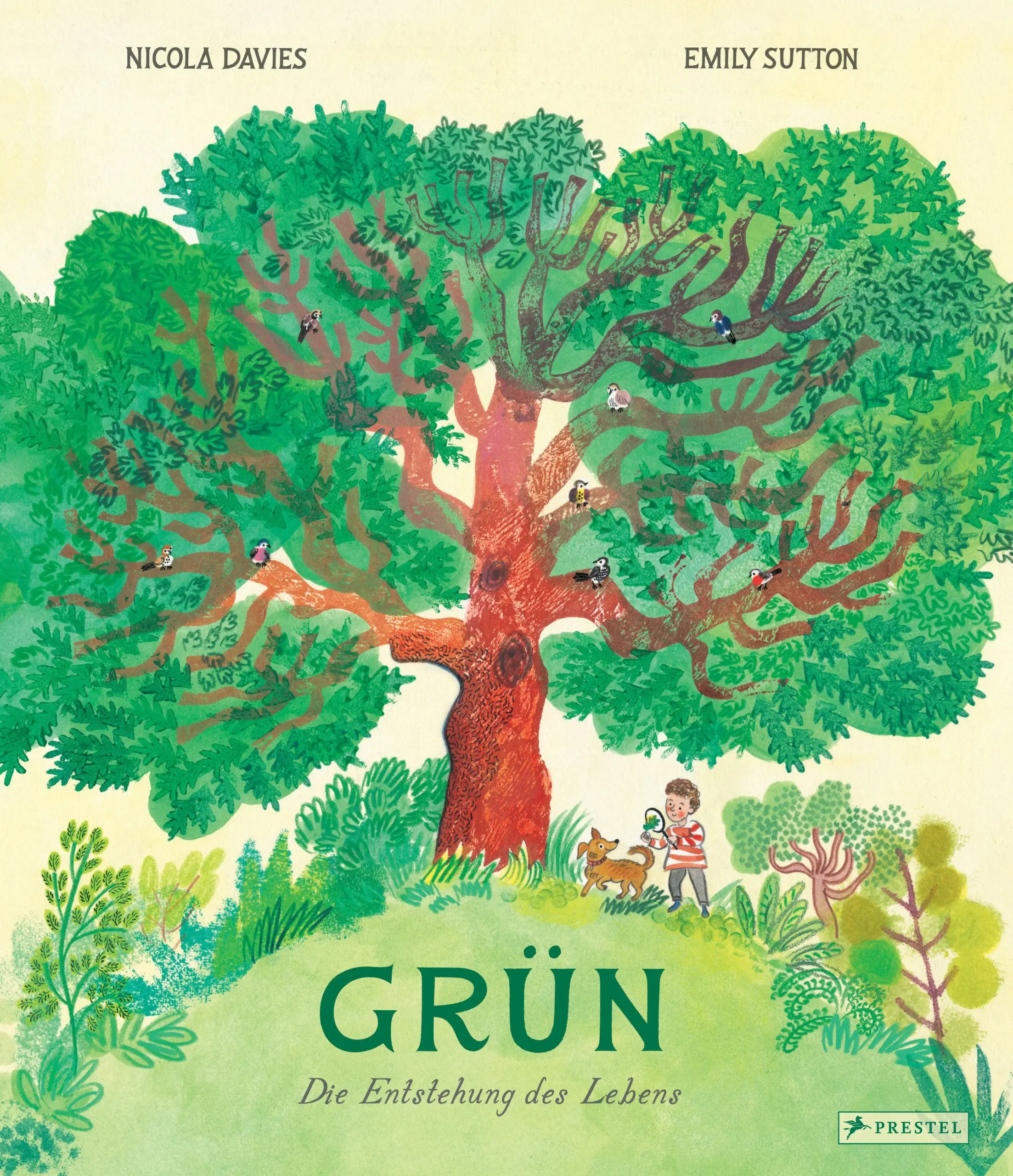 GRÜN: die wichtigste Farbe auf unserem PlanetenAn Land und in den Meeren produzieren grüne Pflanzen den Sauerstoff und die Nahrung, die fast alle Lebewesen – auch wir Menschen – zum Überleben brauchen. Doch wie genau machen sie das?Dieses Buch ist eine kinderleichte Einführung in die faszinierenden Fähigkeiten von Pflanzen, die weit über die Photosynthese hinausgeht. Es zeigt, wie sich vor Milliarden von Jahren die ersten Pflanzen entwickelt haben und wie dadurch die Entstehung von Leben auf der Erde erst möglich wurde. Es erklärt, wie Photosynthese funktioniert, wie fossile Brennstoffe entstanden, warum sich das Klima wandelt und was das für uns bedeutet.Leicht verständliche Texte und wundervolle Illustrationen machen die komplexen und fragilen Zusammenhänge von Pflanzen und allem Leben für Kinder leicht nachvollziehbar. Ausstattung: gedruckt auf Recyclingpapier