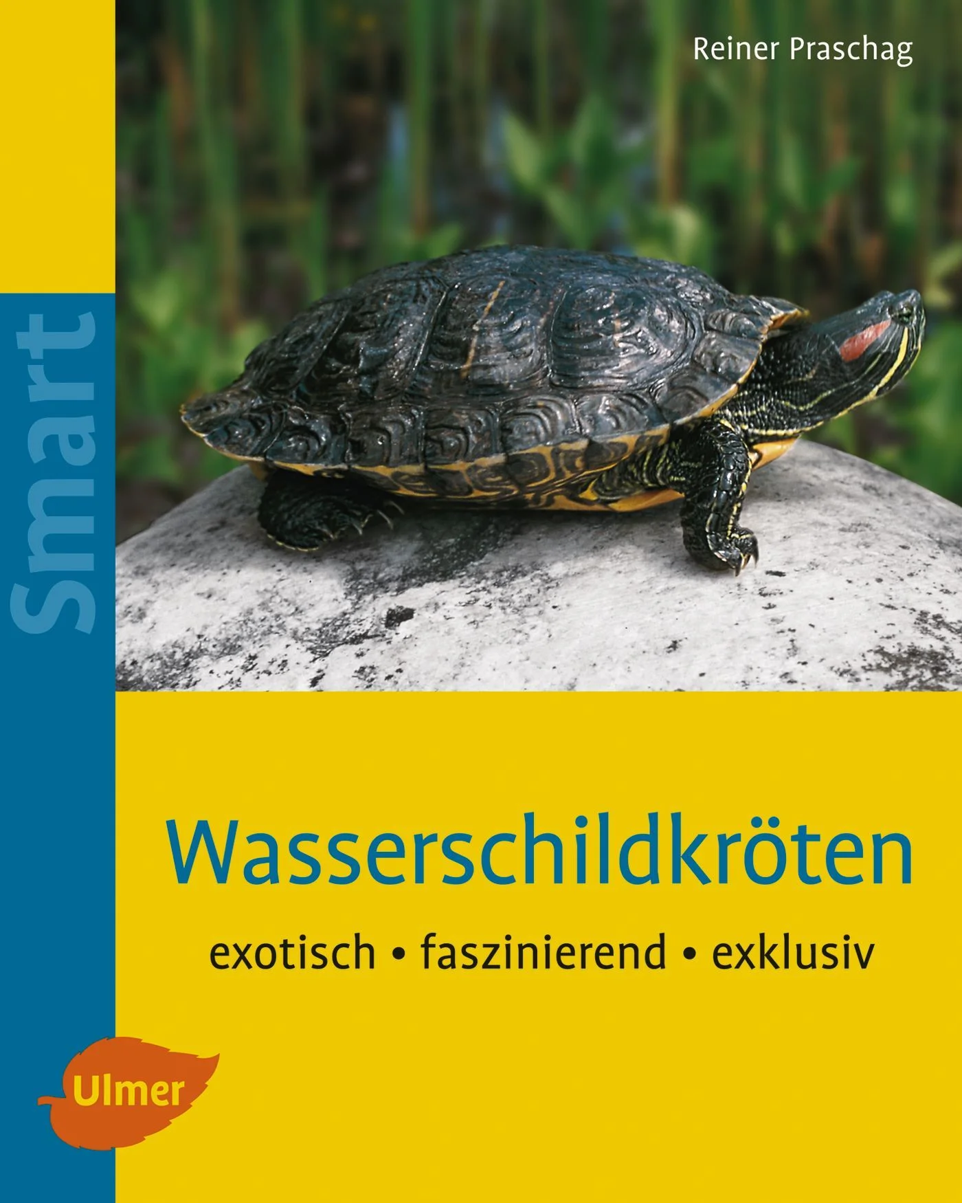 Reiner Praschag Stripe-necked Terrapins Archaic–fascinating–exotic The requirements and conditions for keeping stripe-necked terrapins in your house or apartment, or also in your garden pond, which species are especially suitable, how you can look after them and keep them healthy – all these aspects are discussed in this book in a succinct, easily understood manner. A good introduction for anyone who is thinking of keeping these attractive terrapins in the home.