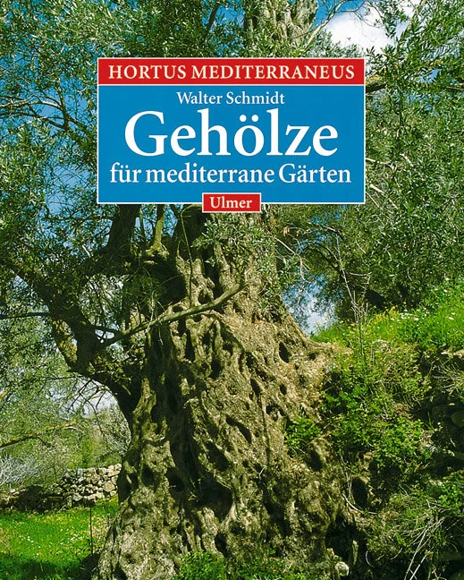 Hier liegt eine einmalige Zusammenstellung der Bäume und Sträucher vor, die in den Gärten und Parkanlagen des mediterranen Raumes (und in vergleichbaren Klimaregionen) kultiviert werden. Das Buch stellt über 700 Gehölzgattungen vor, dabei folgt die Beschreibung von Gattungen und Arten stets einem einheitlichen, detailiert ausgearbeitetem Schema, das Angaben zur Herkunft, zu den Standort- und Kulturansprüchen, zur Vermehrung und zur Verwendung im Garten oder im öffentlichen Raum umfaßt. Besondere Beachtung finden ökologische Qualitäten, und die vielen Hinweise auf die historische Bedeutung mancher Gehölze betonen die geschichtliche Dimension dieses Raumes auch in der Gartenkultur. Zudem hat der Autor zu den gärtnerisch wichtigen Arten die gängigen Sortimente zusammengestellt und beurteilt die Sorten wie die Arten im Hinblick auf den Gartenwert. In der Buchreihe „Hortus mediterraneus“ ist nur dieser Band 2 (Gehölze 978-3-8001-6590-2) lieferbar. Band 1 und 3 werden nicht erscheinen.