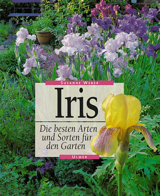 Schwertlilien gehören zu den schönsten Stauden, die wir im Garten kennen. Der Hauptwert der Pflanzen liegt sicherlich in den schön geformten und farbenprächtigen Blüten. Verwendet werden sie in Stein- und Naturgärten, auf Staudenbeeten und an Gartenteichen. Insgesamt gibt es mehr als 200 Arten in der Gattung Iris. Das vorliegende Buch konzentriert sich auf die gartenwichtigen Arten, von denen es allerdings Tausende von Sorten gibt. In allen Teilen der Welt arbeiten Züchter, Gärtner und Irisfreunde daran, die Vielfalt der Formen und Farben noch zu steigern, und Iris-Gesellschaften halten weltweit Kontakt, um sich über die neuesten Ereignisse zu informieren. Das Buch stellt die wertvollsten Sorten aus dem kaum noch überschaubaren Angebot vor. Es informiert über Züchtung, Pflege und Pflanzung und macht interessante Vorschläge zur Verwendung im Garten.