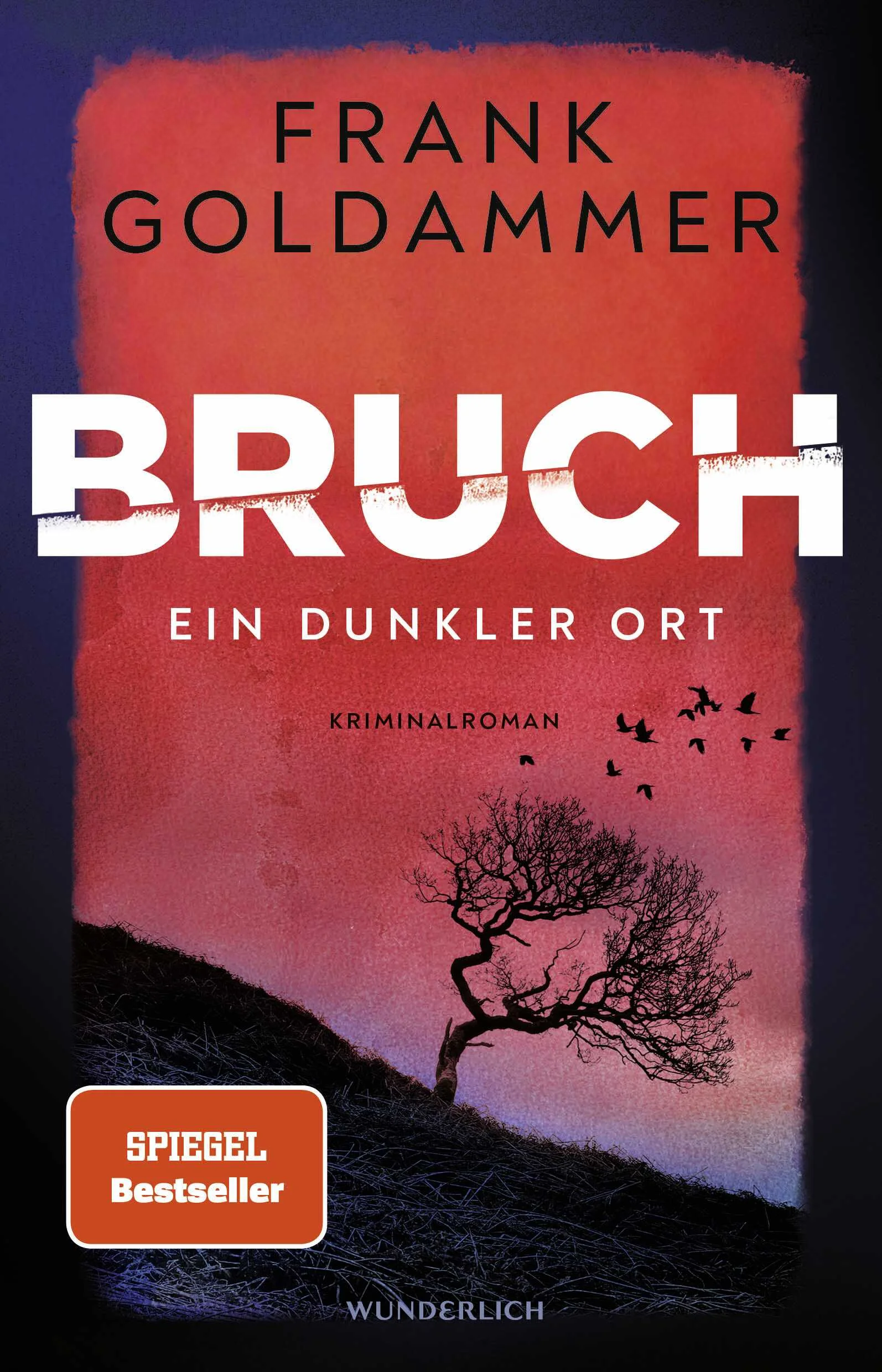 Spannend, beklemmend, einzigartig – der Bestsellerautor Frank Goldammer schreibt eine Ermittlerfigur, die es im deutschen Krimi so noch nicht gab.Ein Stadtteil am Rande Dresdens ist in Aufruhr: Ein Mädchen ist verschwunden. Felix Bruch wird mit der neuen Ermittlerin Nicole Schauer auf diesen Fall angesetzt. Schauer merkt schnell, dass Bruch ein Einzelgänger ist.Ihre einzige Spur: Vor zwei Jahren verschwand bereits ein Mädchen aus derselben Nachbarschaft – und kehrte nach zwei Wochen nahezu unversehrt zurück. Bis heute weiß niemand, was damals geschah, und das Kind schweigt weiterhin.Zunehmend irritiert sie Bruchs Verhalten, er ist wortkarg, empathielos, unzuverlässig. Er verfolgt Spuren, die nur für ihn Sinn ergeben. Sie erfährt, dass Bruch den Unfalltod seines Kollegen zu verkraften hat, aber sie vermutet, dass hinter seinem eigentümlichen Verhalten noch etwas anderes steckt als Schock und Trauer. Sie beobachtet, wie er Tabletten nimmt, und erlebt, was geschieht, wenn er das nicht tut. Bruch lebt zwischen den Extremen.Den Ermittlern fehlt eine heiße Spur – und Schauer muss sich auf Bruchs ungewöhnliche Ermittlungsmethoden einlassen. Diese bringen sie an ihre Grenzen, und zunehmend wird deutlich, was mit Bruch passiert …