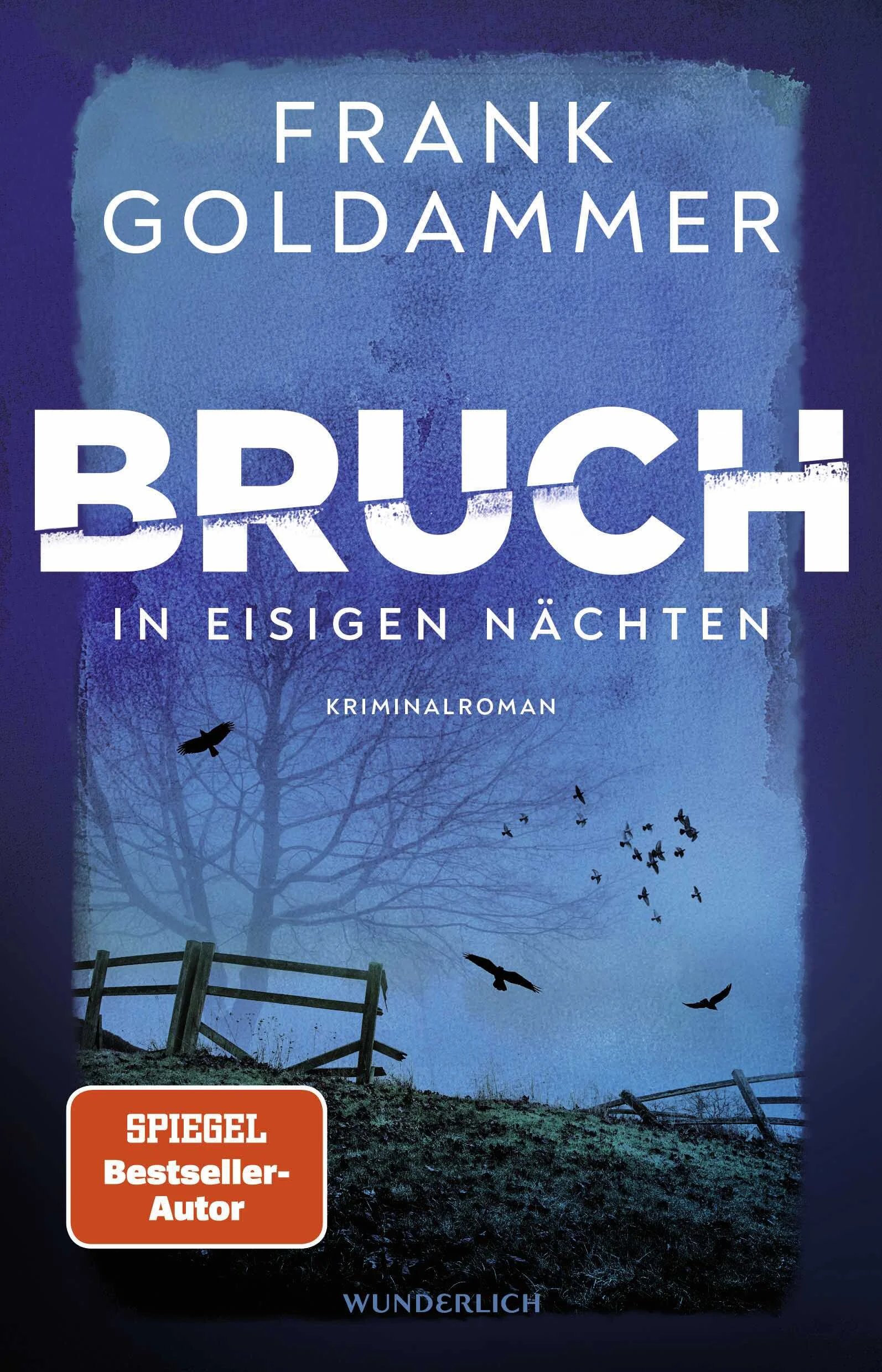 Düster, packend und mitreißend – Bruch und Schauer ermitteln in einem Fall, der die Grenze zwischen Gut und Böse verschwimmen lässt.Der zweite Band um das starke Dresdner Ermittlerteam vom Bestsellerautor Frank Goldammer.Nichts ist vergessen.Ein interner Mordfall streut Angst und Misstrauen unter den Kollegen der Dresdner Mordkommission. In dieser Hektik werden die Ermittler Felix Bruch und Nicole Schauer zu einem Tatort gerufen. Ein Mann wurde in seinem Haus angeschossen, die vermeintliche Täterin war noch vor Ort. Schauer ist geschockt, als sie erfährt, dass Bruch die junge Frau kennt. Als Bruch und Schauer die Ermittlungen aufnehmen wollen, wird die gesamte Abteilung beurlaubt. Doch Schauer bekommt Informationen zugespielt, die sie dazu veranlassen, auf eigene Faust weitere Nachforschungen anzustellen. Bruch wird durch die Ereignisse ruhelos, er gräbt tief in seiner Vergangenheit und beginnt langsam die Kontrolle zu verlieren.