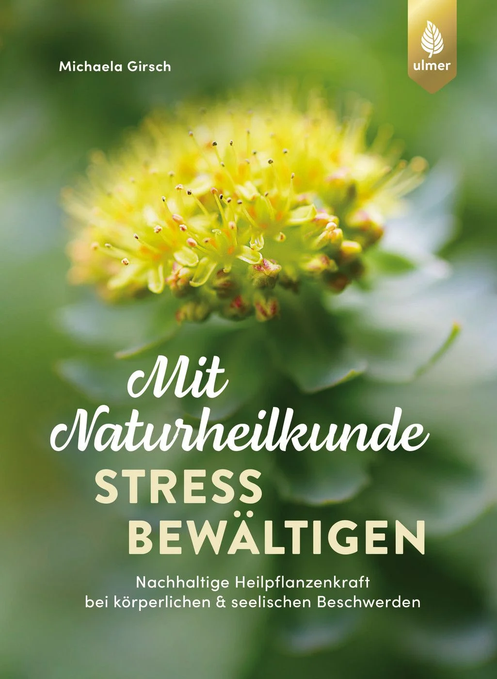 Die Auswirkungen von Stress auf Verhalten, Körper und Psyche werden von der erfahrenen Heilpraktikerin und Phytotherapeutin Michaela Girsch genau erklärt. Ausführlich stellt die Autorin 30 Heilpflanzen zur Selbstbehandlung sowie deren Möglichkeiten und Grenzen vor. Alltagstaugliche Rezepturen, Empfehlungen für gute Präparate und Verhaltenstipps helfen Ihnen, stressbedingte Beschwerden wie Schlafstörungen, Unruhe, Erschöpfung, Burnout, Spannungskopfschmerzen, Verdauungsbeschwerden und vielem mehr zu reduzieren. Adaptogene wie Ginseng, Taigawurzel und Rosenwurz unterstützen Sie zudem in Stresssituationen, um Kraft für Veränderungen zu finden. Extra: Ein Kapitel über Stress bei Kindern.