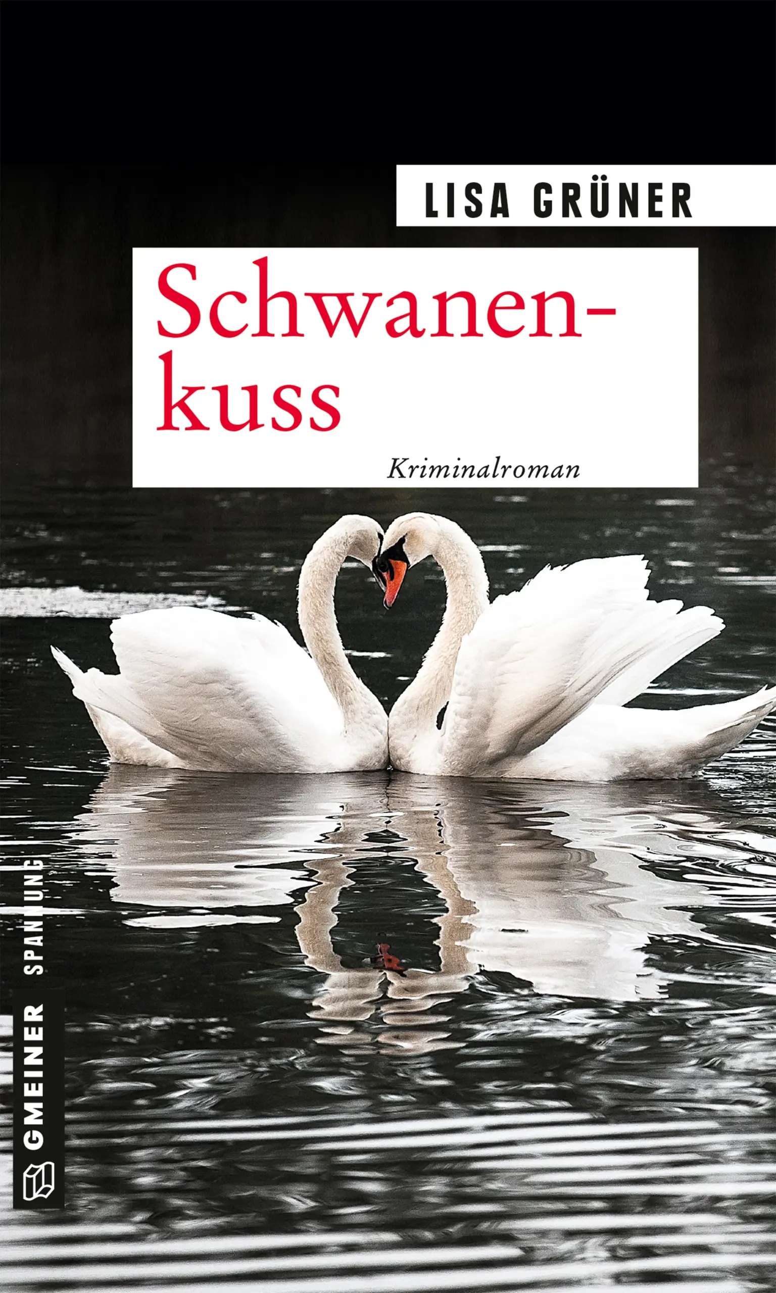 Carina träumt von der großen Idee, die sie zu Geld machen kann. Inspiriert vom romantischen Bild schnäbelnder Schwäne lässt sie sich die Wortmarke »Schwanenbussi« schützen. Ein Konditor und die Stadt Gmunden versuchen ihr die Marke abzujagen und ziehen sie in einen dunklen Strudel von Intrigen. Nach einem Treffen mit dem Konditor wacht sie mit einer Handverletzung und einer Erinnerungslücke auf. Ihr bester Freund ist spurlos verschwunden, der Konditor untergetaucht und die Polizei ist hinter ihr her …