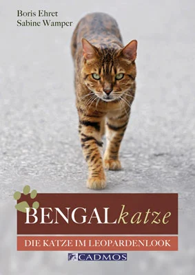 Von Raubkatzen wie zum Beispiel Leoparden geht eine einzigartige Faszination aus. Kein Wunder also, dass die zahmen, anhänglichen und immer zu Spielchen aufgelegten „Leoparden im Kleinformat“, die Bengalkatzen, immer beliebter werden. Dieses Buch entführt mit spannenden und informativen Texten sowie mit ausdrucksstarken Fotos in die Welt dieser traumhaft schönen Rassekatze. Der Leser erfährt Wissenswertes über die wilden Vorfahren, die Asian Leopard Cats, über die Entwicklung der Rasse und die heute angestrebten äußeren und inneren Werte. Wer den Kauf einer Bengalkatze plant, erhält wichtige Tipps zum Finden des richtigen Züchters. Ein kurzer Ausflug in die Genetik, Informationen über Katzenausstellungen sowie Hinweise zur Krankheitsvorbeugung sind ebenfalls enthalten. Die Erfahrungsberichte und Tipps aus dem Zuchtalltag der beiden Autoren machen das Buch zu einem liebevoll und lebendig geschriebenen Rasseporträt.