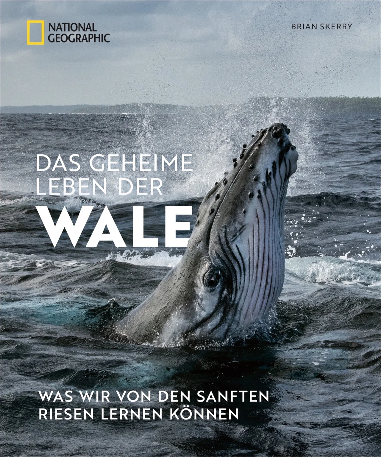 Wale faszinieren die Menschen seit jeher. Dennoch haben wir nur flüchtige Eindrücke der sanften Giganten. Wir wissen wenig über ihre erstaunliche Lern- und Anpassungsfähigkeit, ihre einzigartigen sozialen Kompetenzen, die über spezielle Fütterungsstrategien bis hin zu komplexen Gesangswettbewerben reichen. Tauchen Sie mit dem renommierten National Geographic Fotojournalisten und Walexperten Brian Skerry ein in geheimnisvolle Unterwasserwelten und erleben Sie die charismatischen Meeresriesen hautnah.