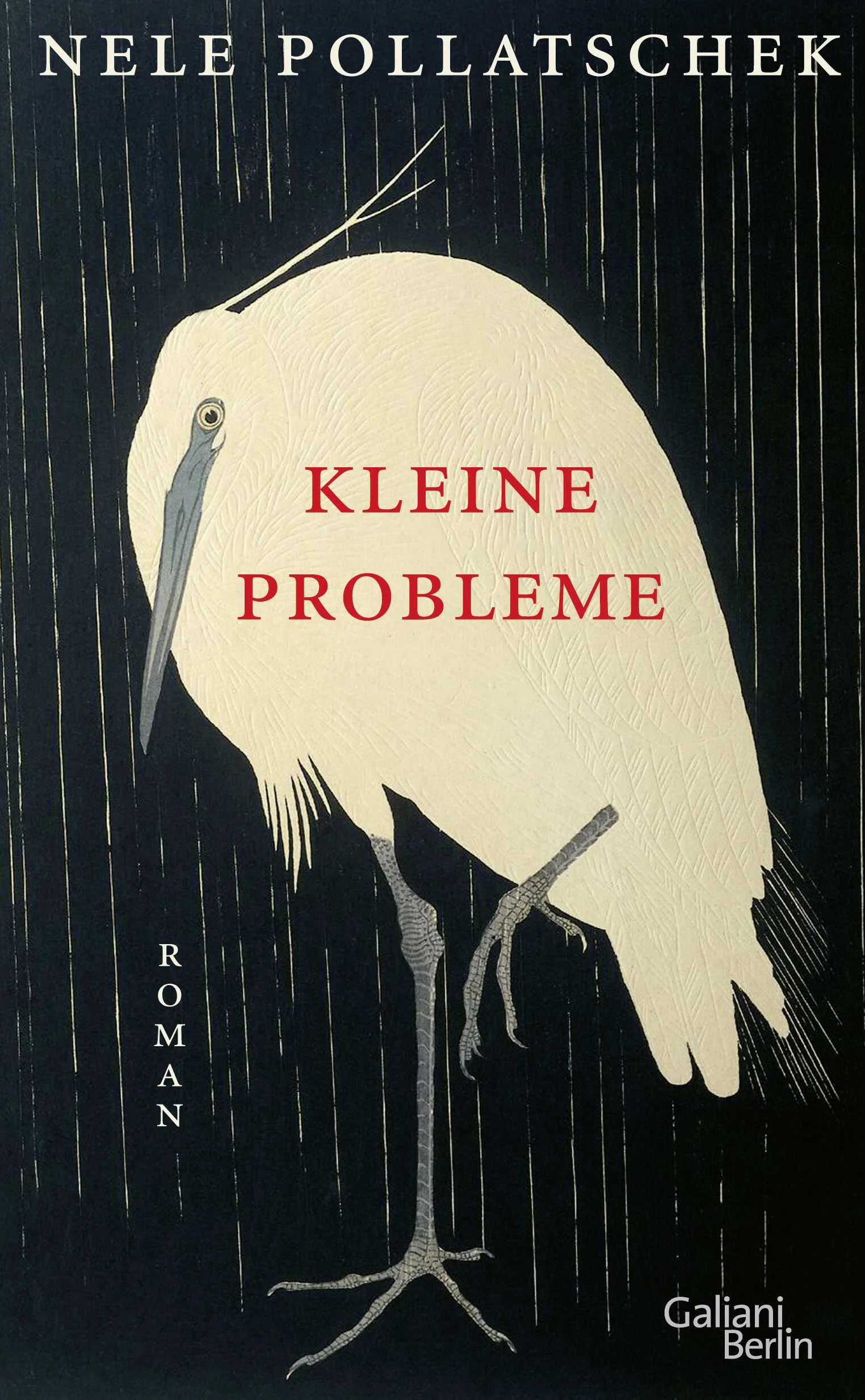 Nele Pollatschek erzählt eine alltägliche Geschichte, die mitten ins Herz unserer Existenz trifft. Aus einer To-do-Liste entsteht ein schillernder Roman darüber, wie schwer es ist, einfach nur zu leben. 31. Dezember. Steuererklärung, Wohnung putzen, Bett für die Tochter zusammenschrauben, Lebenswerk schreiben, mit dem Rauchen aufhören – eigentlich wollte Lars, neunundvierzigjähriger Vieldenker und angehender Schriftsteller, die Lücke zwischen den Jahren dafür nutzen, endlich alles zu erledigen, was in den letzten Dekaden so auf der Strecke geblieben ist. Das neue Jahr, so sein Plan, sollte in einem aufgeräumten Leben beginnen. Der Zeitpunkt dafür schien perfekt: Die Kinder waren im Auslandsjahr, die Frau unterwegs. Keiner da, der stören könnte.Doch die Woche, in der noch alles zu schaffen gewesen wäre – plötzlich ist sie aufgebraucht. Der letzte Tag des Jahres hat begonnen – mit Nieselregen, wie sonst? Das Haus ist immer noch chaotisch. Das Leben sowieso. Und als Lars den ersten Punkt seiner To-do-Liste ansteuert, fühlt es sich an, als müsse er nicht nur sich selbst, sondern eine ganze Welt neu erfinden.In ihrem lustigen, tragischen und philosophischen Roman erzählt Nele Pollatschek von Chaos und der Sehnsucht nach Ordnung, von perfekten Kindern und unperfekten Eltern, von Liebe, kleinen Schrauben und großen Werken. Vor allem aber erzählt sie von der Schwierigkeit, sein Leben nicht auf später zu verschieben.
