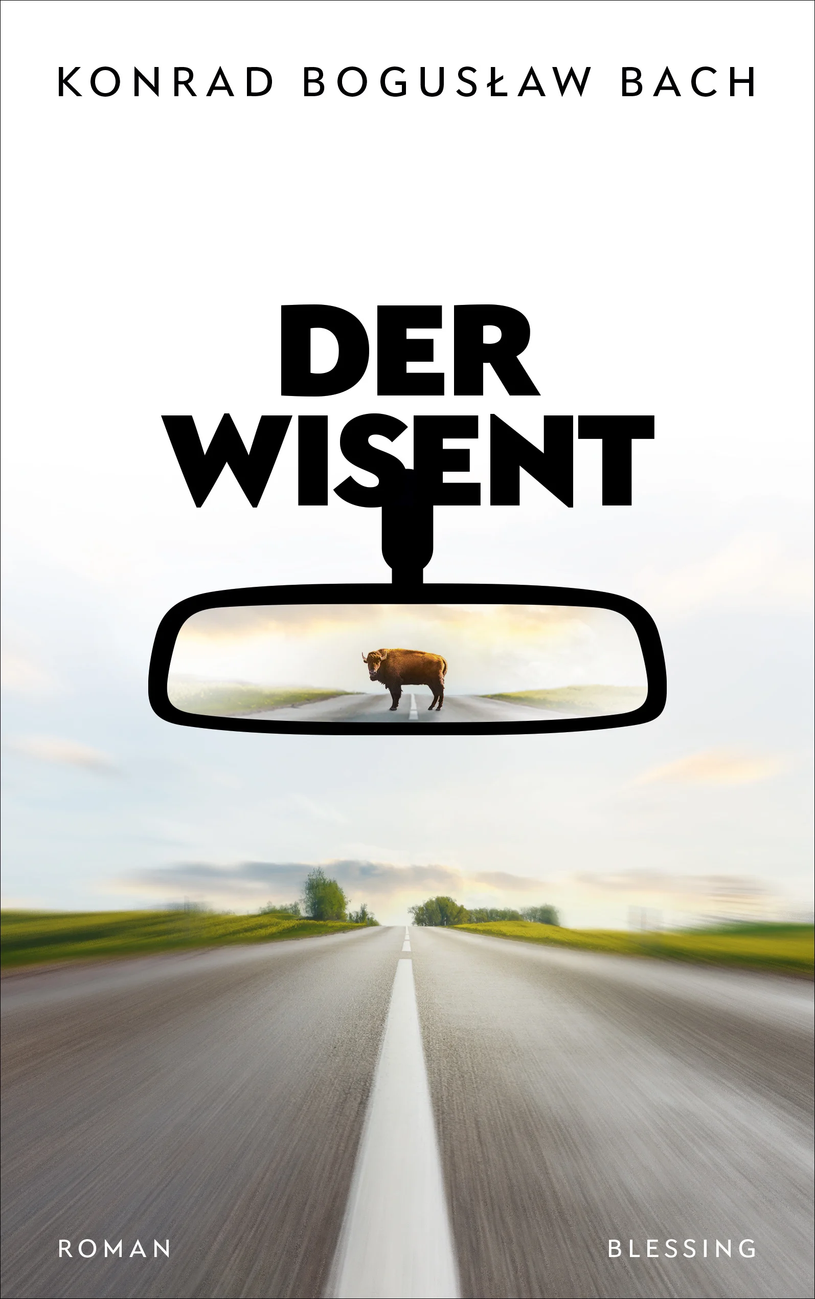 Ein kleiner Ort mitten in Polen und zwei Männer kurz vor der Rente, die nie vorhatten, ihre Heimat zu verlassen: Heniek und Andrzej, Mechaniker und Tischler, brechen aus Gajerudki auf und folgen der A2, der „Autobahn der Freiheit“, gen Westen. Sie wollen Beatka zurückholen, die zur Saisonarbeit in die Niederlande gefahren ist und ihren Mann Heniek nun nach 36 Jahren Ehe verlassen hat, ohne ihm den Grund dafür zu nennen. Als jedoch die beiden Freunde nach einem Wildwechselunfall in Deutschland stranden, beginnt für sie eine Irrfahrt durch das verhasste Europa und ihr bisheriges Selbstverständnis. Andrzej und Heniek lernen ihre Abgründe neu kennen – und, als sie einem Wisent begegnen, auch ihre Vergangenheit. Eine Geschichte mit Sogwirkung, erzählt in einem mal tragikomisch-derben, mal legendenhaft verknappten Ton.