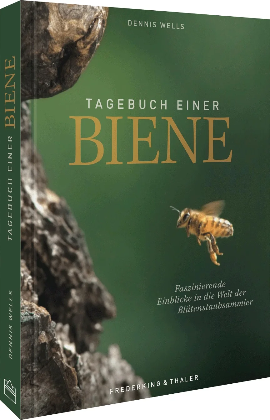 Klein und doch bedeutend – Ein beflügender Bildband für Jung und Alt mit Aufnahmen direkt aus dem BienenstockWas kann man schon in einem sechswöchigen Insektenleben erleben? Erstaunlich viel. In diesem unvergleichlichen Bildband verfolgen wir die abenteuerliche Reise der Bienen von ihrer Geburt bis hin zur Gründung eines neuen Bienenvolks. Dennis Wells, Regisseur des gleichnamigen Dokumentarfilms, nimmt die Leser mit in die wundersame Welt dieser faszinierenden Tiere. Unvergleichliche Aufnahmen aus und um den Bienenstock herum Das Buch zum gleichnamigen Bienen-Film von Dennis Wells Mit spannendem Wissen rund um das faszinierende Leben der Biene