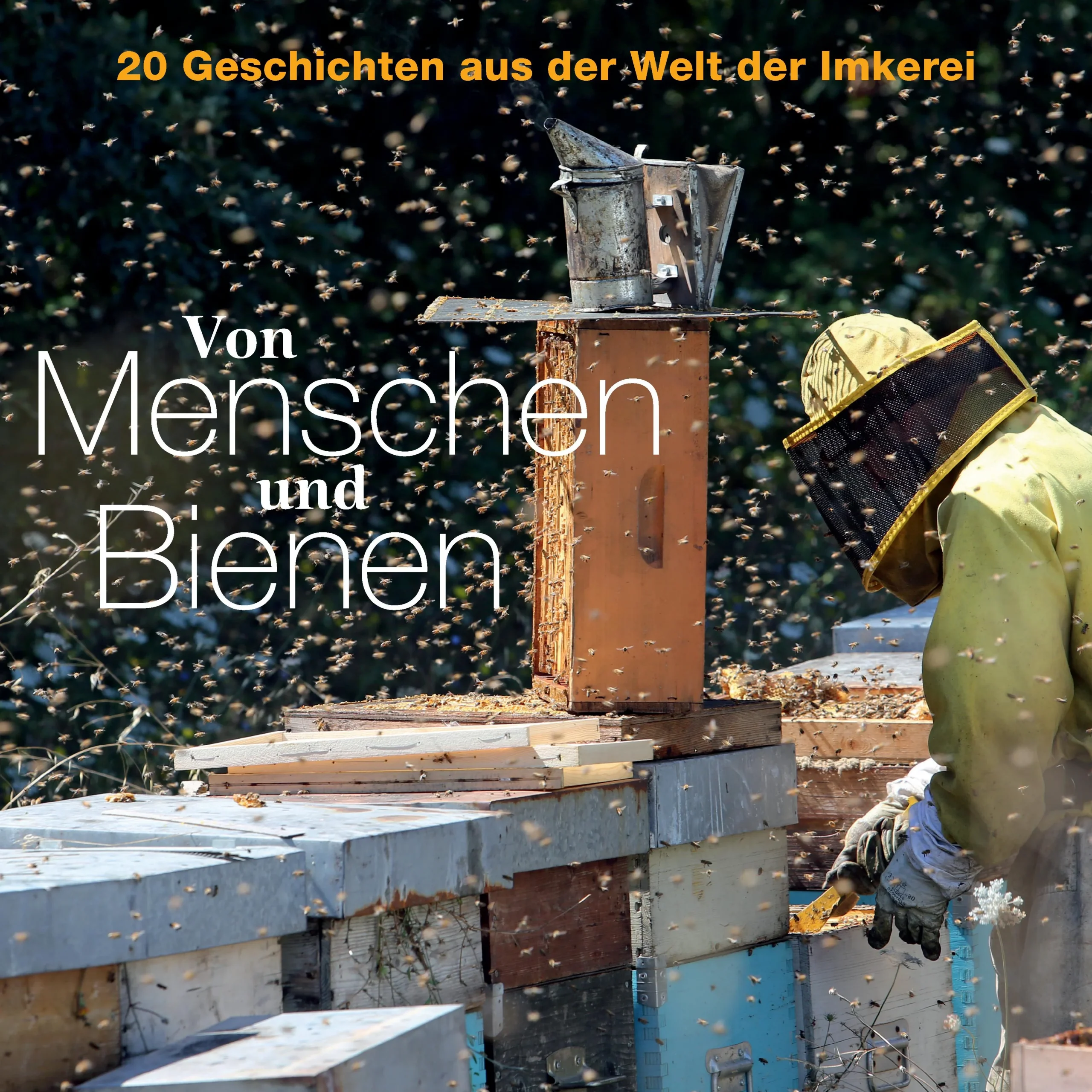 Wilde Bienenvölker, unberührte Naturlandschaften und traditionelles Imkerhandwerk: Das Deutsche Bienen-Journal veröffentlicht erstmals einen Bildband, in dem die Redaktion von der Vielfältigkeit der Imkerei erzählt und dem Betrachter die Schönheit der Bienen und der Welt, in der sie leben, näherbringt. Über 200 Aufnahmen zeigen Menschen bei ihrer alltäglichen Arbeit mit den Bienen in Deutschland, in Europa und in weit entfernten Ländern, wo die afrikanischen Verwandten der europäischen Honigbiene in Strohkörben wohnen, die an Bäumen hängen. Das Buch entführt die Leser in den Hamburger Hafen zu Containerschiffen aus Valparaíso, die Honigfässer in ihren Bäuchen tragen, und zeigt ihnen Honigjäger, die in den Bergen des Himalaja an Klippen hängen und das süße Gold der Riesenhonigbienen ernten. Die Bilder und Geschichten stammen zum großen Teil aus Reportagen des Deutschen Bienen-Journals und wurden um brillante Aufnahmen von Fotografen und Lesern ergänzt, die Honigbienen aus besonders gelungenen oder ungewöhnlichen Perspektiven zeigen. Das Deutsche Bienen-Journal gibt es seit 1993. Es gehört zu den anerkannten Imkerfachzeitschriften in Deutschland. Für ihre einprägsamen Porträts von Imkern und Betrieben besuchen die Redakteure Bienenhalter in ganz Deutschland und in aller Welt. Nun präsentieren sie eine Auswahl der besten Reportagen erstmals im großen Format und mit vielen noch nie veröffentlichten Bildern.