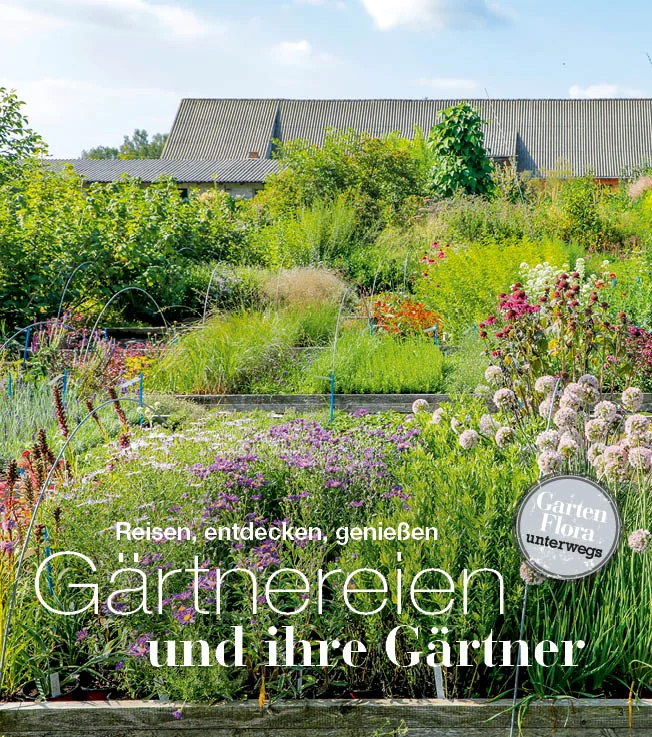 Seit vielen Jahren porträtiert die GartenFlora-Redaktion Gärtnereien und ihre Betreiber in ganz Deutschland! Dabei entstanden ebenso eindrucksvolle wie interessante Reportagen, die liebevoll von namhaften Fotografen in Szene gesetzt wurden. In ihrem ersten Bildband „Gärtnereien und ihre Gärtner - Reisen, entdecken, genießen“ stellt die GartenFlora-Redaktion 19 davon vor: Von klassischen Staudengärtnereien, über innovative Gemüseanbaubetriebe bis hin zur außergewöhnlichen Rebbaumschule zeigt das informative Buch die ganze Bandbreite gärtnerischen Schaffens und stellt die tatkräftigen Menschen dahinter vor. Ob Tagesausflug oder Urlaub – auch rund um die Gärtnereien gibt es viel zu entdecken. Die GartenFlora-Redakteure haben sich umgeschaut, und die besten Reise- und Ausflugstipps für Garten- und Pflanzenfans zusammengetragen. Entstanden ist ein exklusives, fachlich fundiertes Reisebuch mit spannenden Geschichten – mitten aus dem Gärtnerleben. Viel Spaß beim Lesen und Reisen!